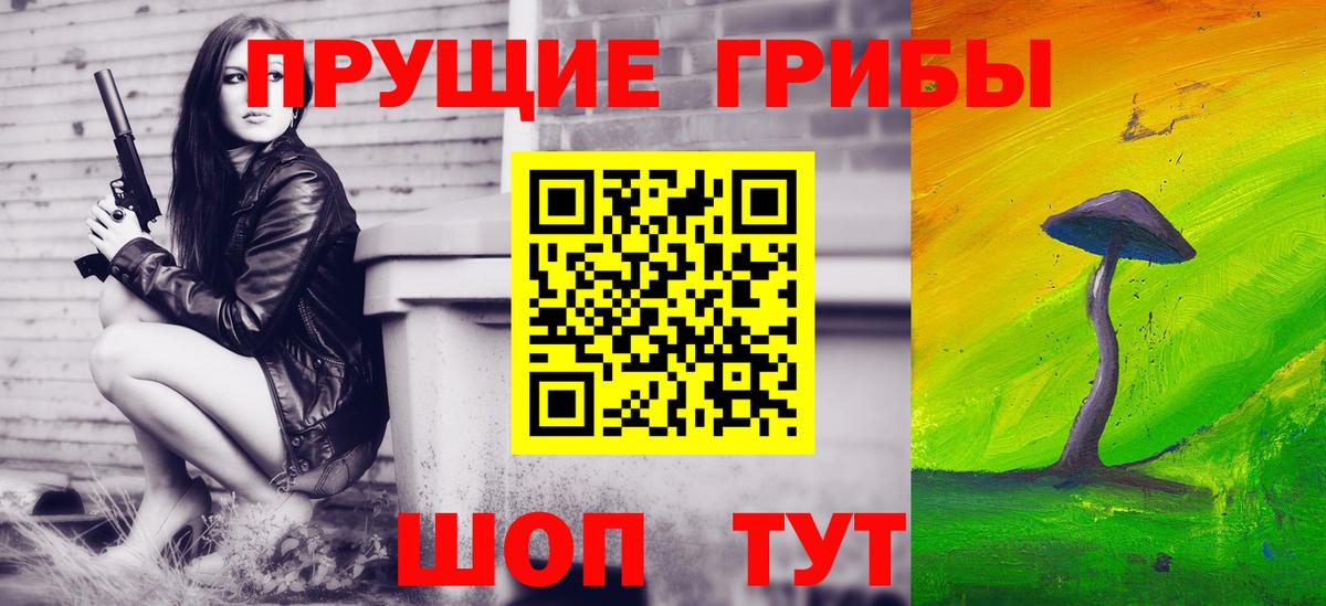 Псилоцибиновые грибы Psilocybe  Вход с VPN  Губаха 