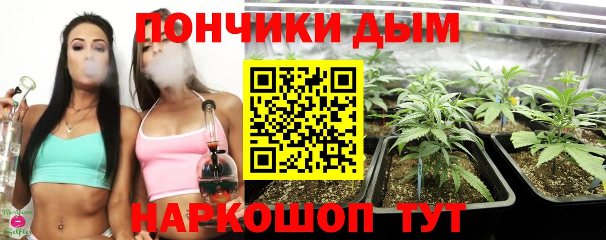 МАРИХУАНА планчик Губаха